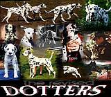 dotters